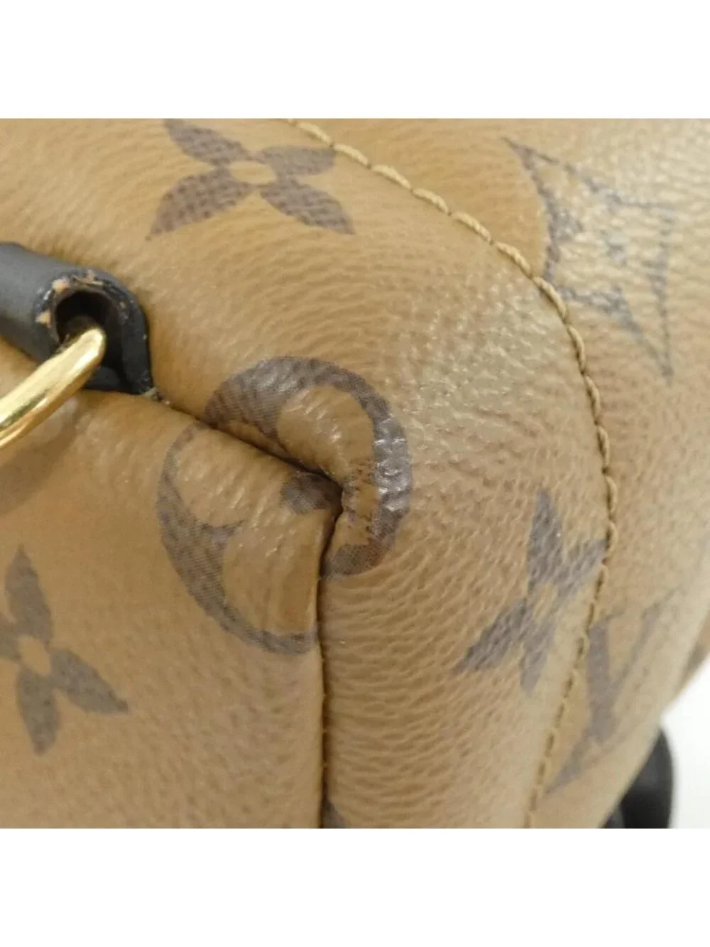Louis Vuitton Monogram Reverse Palm Springs Backpack Mini
